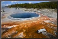 Crested pool